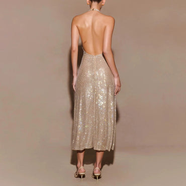Shimmery Dress