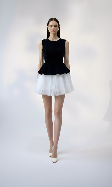 Sleveless Skirt Dress