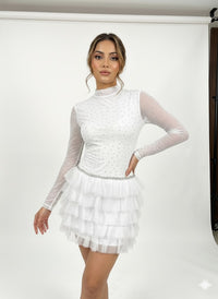 Fur Full Sleeve Dress